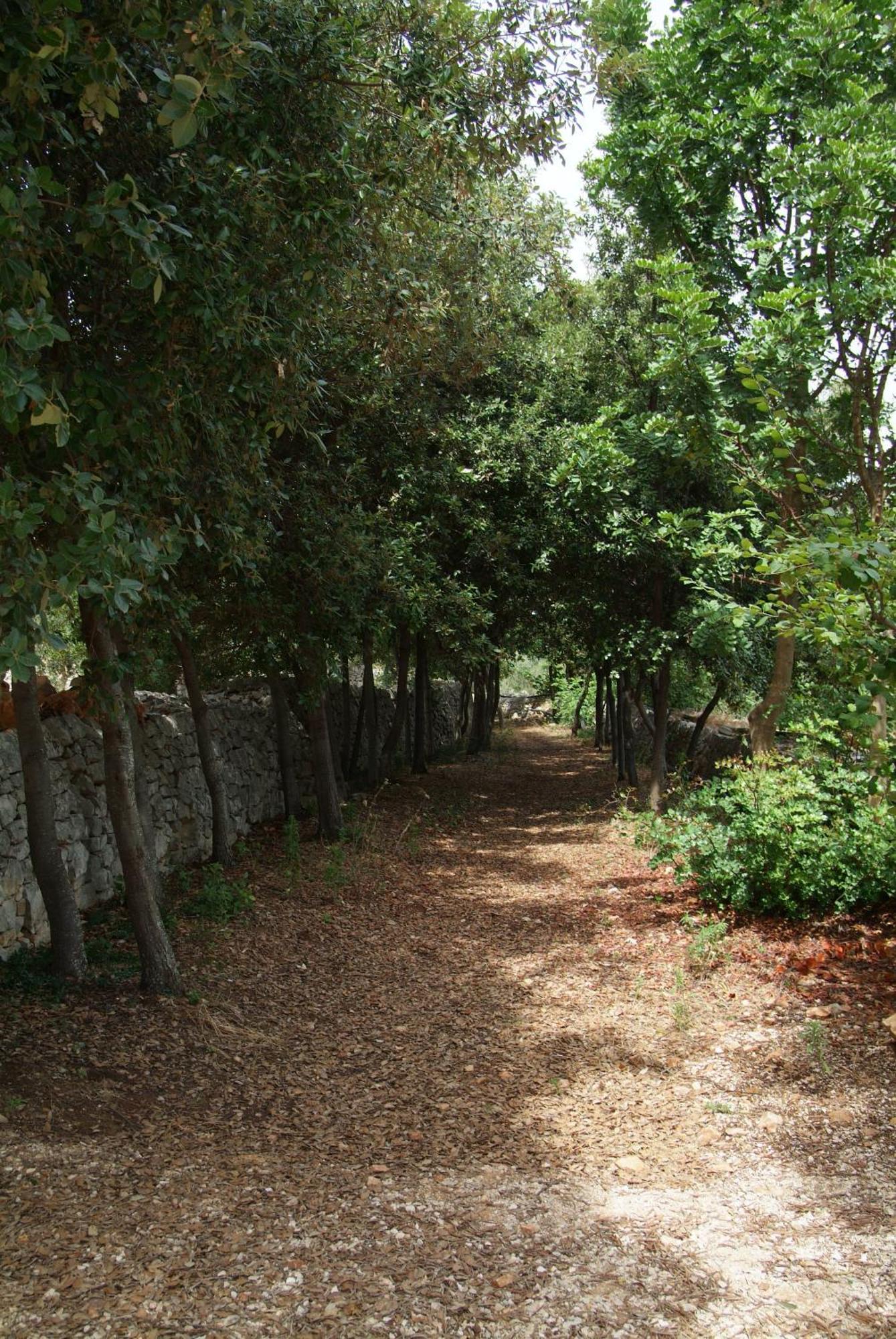 Masseria Trotta B&B Fasano Buitenkant foto