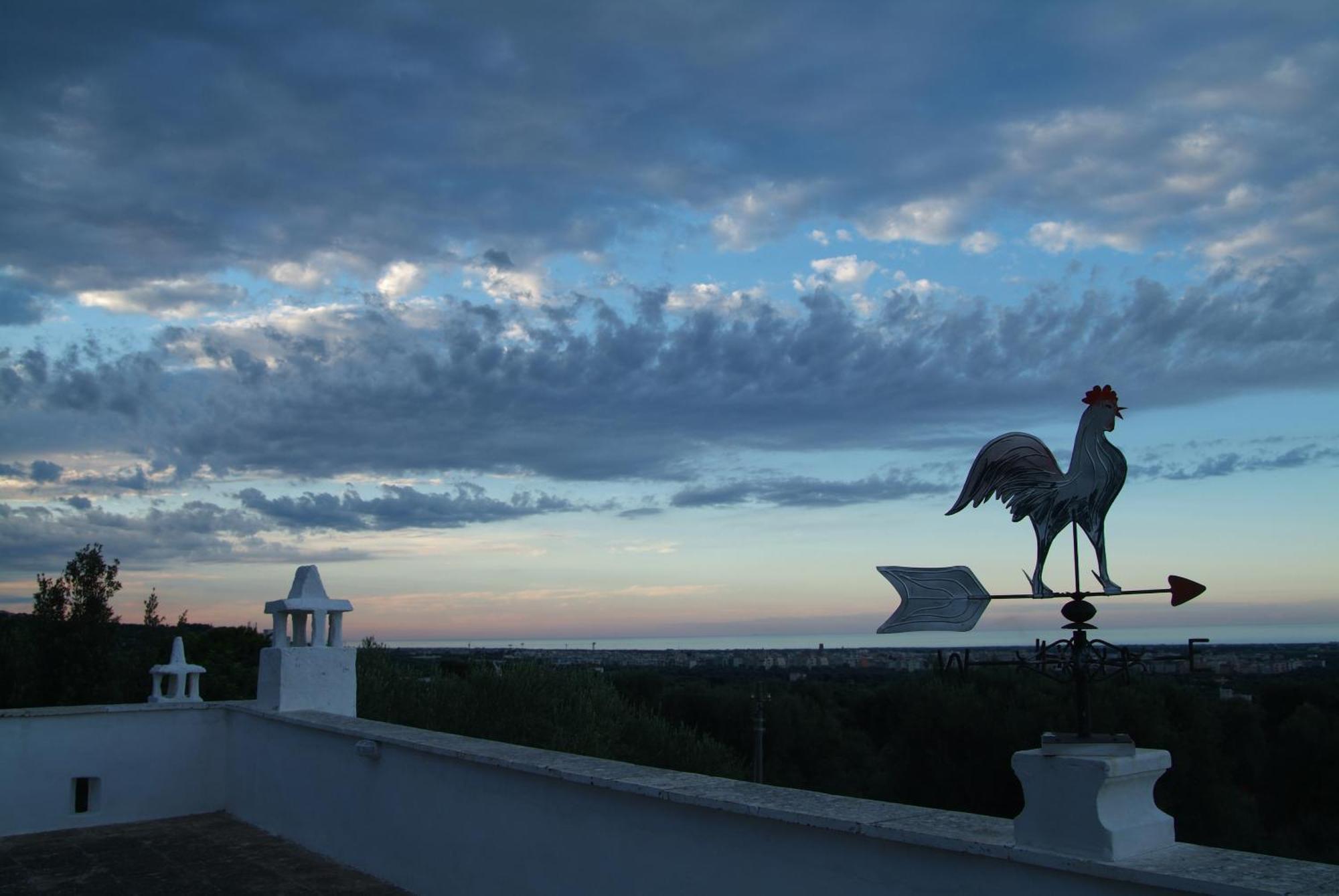 Masseria Trotta B&B Fasano Buitenkant foto